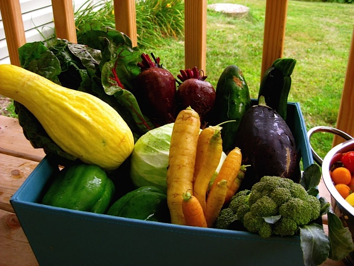 Produce Grown in Cowsmo Compost